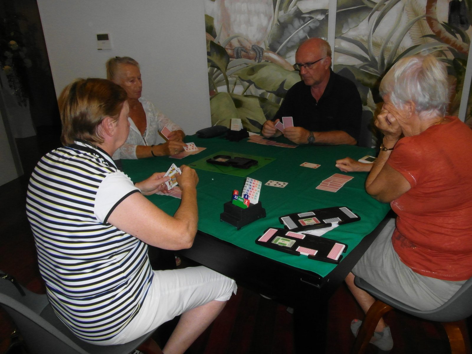 20 bridge 7